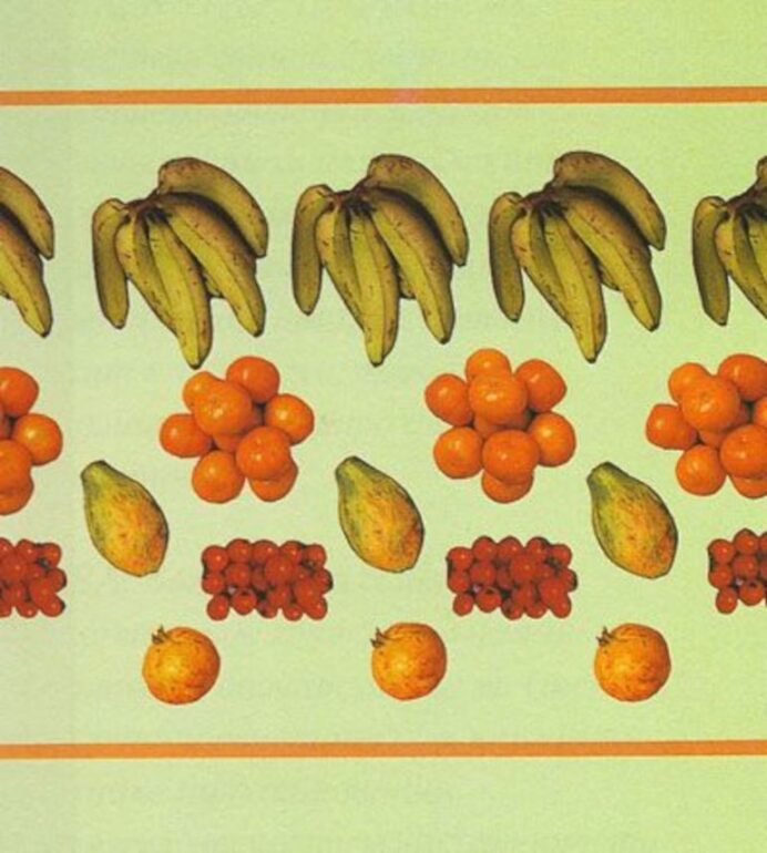 Красочные фотокопии спелых фруктов образуют оригинальный, радующий глаз фриз. Яркий цвет и оранжевые ограничительные линии на светло-зеленом фоне придают фризу современный вид.