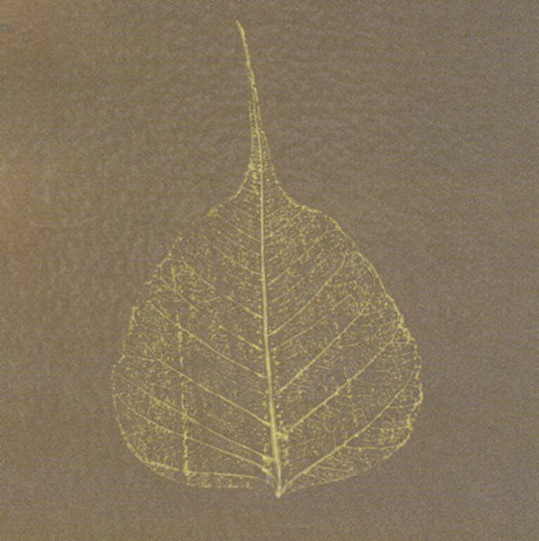 Листья оставят перламутровые отпечатки. Эта техника позволяет получать ярко выраженный эффект, особенно на темном нейтральном красочном покрытии